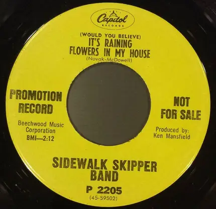 Sidewalk Skipper Band - Seventeenth Summer