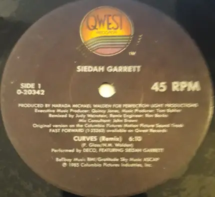 Siedah Garrett - Curves (remix)