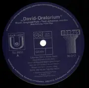 Double LP - Siegfried Fietz, Der Botho-Lucas-Chor - David - Der Herr Ist Mein Hirte - xian pop folk choir