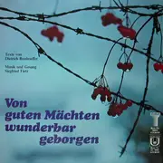 LP - Siegfried Fietz - Von Guten Mächten Wunderbar Geborgen - xian funk disco folk