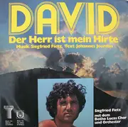 Double LP - Siegfried Fietz, Der Botho-Lucas-Chor - David - Der Herr Ist Mein Hirte - xian pop folk choir