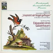 Siegfried Ochs / Karl Hermann Pillney - 's Kommt Ein Vogel Geflogen / Eskapaden Eines Gassenhauers