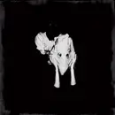 Double LP - Sigur Rós - Kveikur - still sealed
