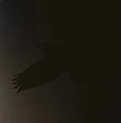 Sigur Rós With Steindór Andersen , Hilmar Örn Hilmarsson And María Huld Markan Sigfúsdóttir - Odin's Raven Magic