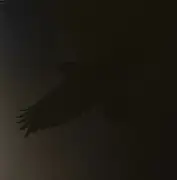 Double LP - Sigur Rós With Steindór Andersen , Hilmar Örn Hilmarsson And María Huld Markan Sigfúsdóttir - Odin's Raven Magic
