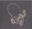CD - Sigur Rós - Ágætis Byrjun - Cardboard Sleeve