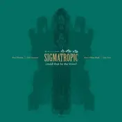 Sigmatropic - COULD THAT BE THE VOICE