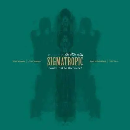 SIGMATROPIC - COULD THAT BE THE VOICE