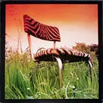 Sigmund Und Sein Freund - Innate