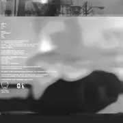 LP - Signifier - Reprogression