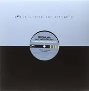 Signum Feat. Anita Kelsey - Come Around Again