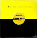 12inch Vinyl Single - Signum - Push Through