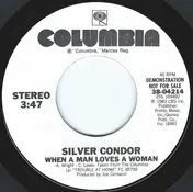 Silver Condor - Trouble at Home