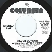 Silver Condor - Trouble at Home