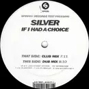 12'' - Silver - If I Had A Choice