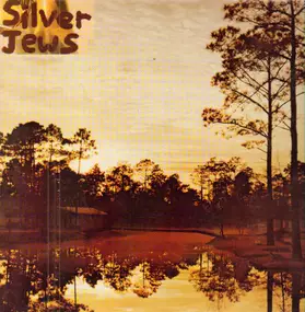 The Silver Jews - Starlite Walker