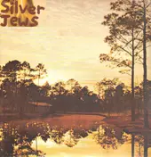 The Silver Jews - Starlite Walker