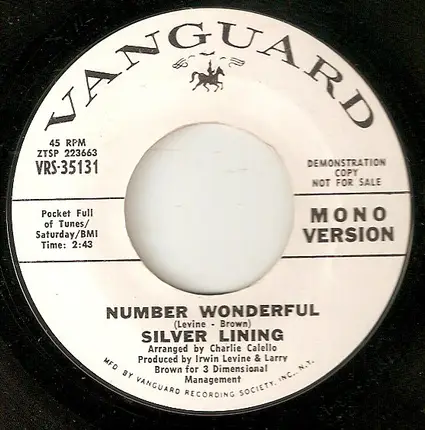 Silver Lining - Number Wonderful