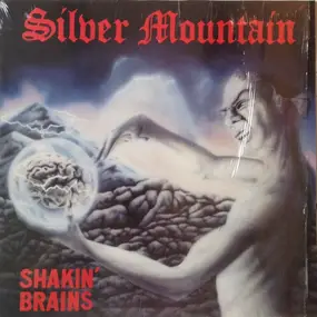 Silver Mountain - Shakin' Brains