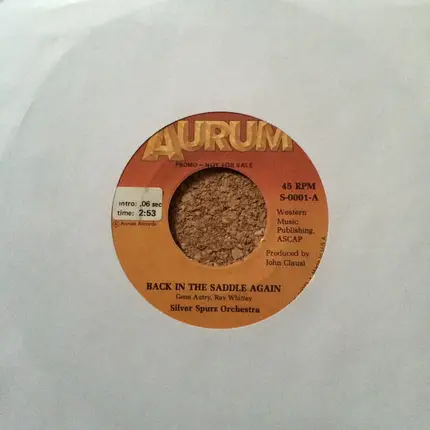 Silver Spurz Orchestra - Back In The Saddle Again