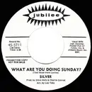 7inch Vinyl Single - Silver - What Are You Doing Sunday?