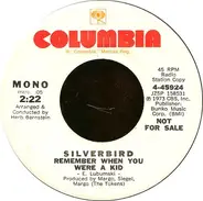 Silverbird - Remember When You Were A Kid