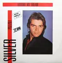 12'' - Silver Pozzoli - Around My Dream