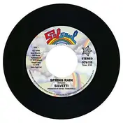 Silvetti - Spring Rain/The Bottle