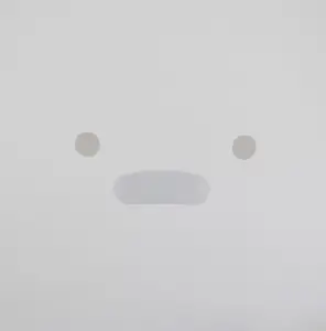 SILICON - Personal Computer