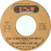 7inch Vinyl Single - Sir Joe Quarterman & Free Soul - (I Got) So Much Trouble In My Mind