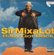 Sir Mix-A-Lot - Baby Got Back