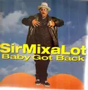 12inch Vinyl Single - Sir Mix-A-Lot - Baby Got Back