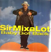 12inch Vinyl Single - Sir Mix-A-Lot - Baby Got Back