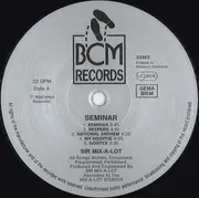 LP - Sir Mix-A-Lot - Seminar