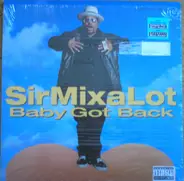 Sir MixaLot - Baby Got Back