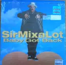 12'' - Sir MixaLot - Baby Got Back