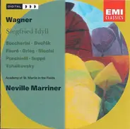 Wagner / Dvořák / Tchaikovsky / Suppé a.o. - Siegfried Idyll