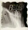 LP - Siri's Svale Band - Blackbird