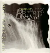 Siri's Svale Band - Blackbird