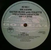 12inch Vinyl Single - Sister Bliss - Cantgetaman Cantgetajob (Life's A Bitch)