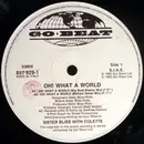 12inch Vinyl Single - Sister Bliss - Oh! What A World