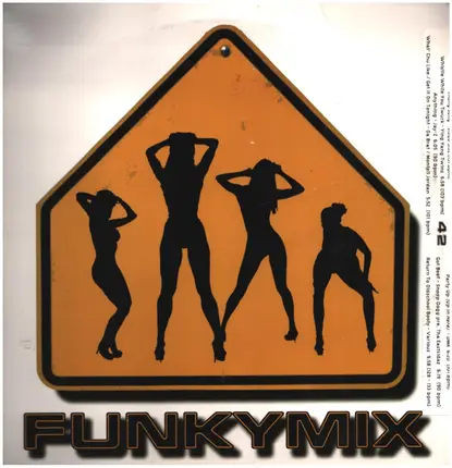 Sisqo, Jay-Z, DMX, Snoop Dogg a.o. - Funkymix 42 WHITE LABEL