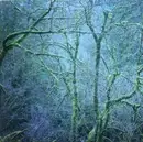 LP - Six Organs Of Admittance - Dust And Chimes