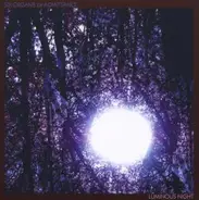 Six Organs Of Admittance - Luminous Night