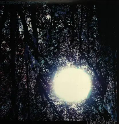 Six Organs Of Admittance - Luminous Night
