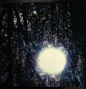 LP - Six Organs Of Admittance - Luminous Night
