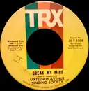 7inch Vinyl Single - Sixteenth Avenue Singing Society - Break My Mind