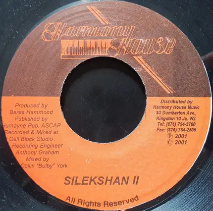 Sizzla - Done Nothing For Us