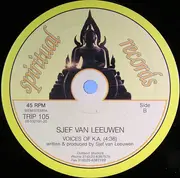 12'' - Sjef Van Leeuwen - 2nd Horizon
