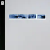 Somatic Responses - Revula